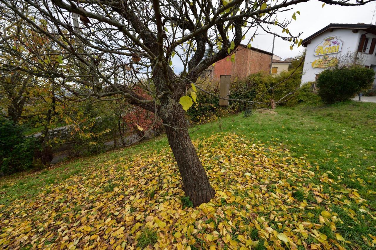 Gli Acini Bed & Breakfast Pietra dei Giorgi Dış mekan fotoğraf