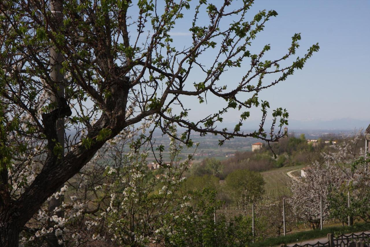 Gli Acini Bed & Breakfast Pietra dei Giorgi Dış mekan fotoğraf
