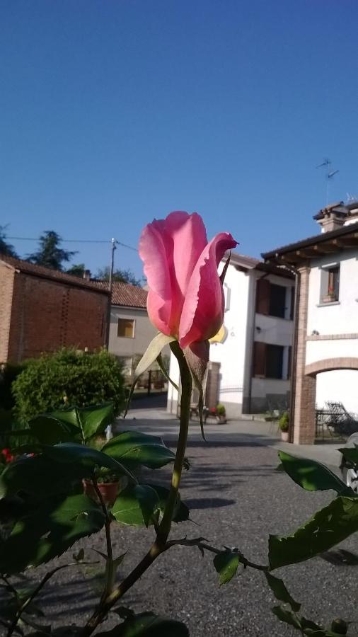 Gli Acini Bed & Breakfast Pietra dei Giorgi Dış mekan fotoğraf